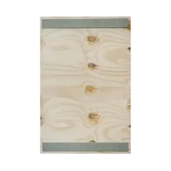 Multiplex europalletdeksel — 120 × 80 cm, 9 mm — productaanzicht